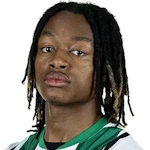 扬·博尔热斯·桑谢斯