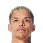 塞利奥·庞贝乌